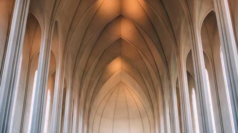 关于professional的专业图片