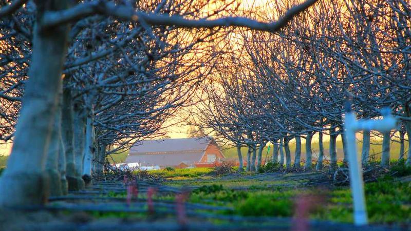 professional主题的精美插图