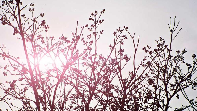 technology主题的精美插图