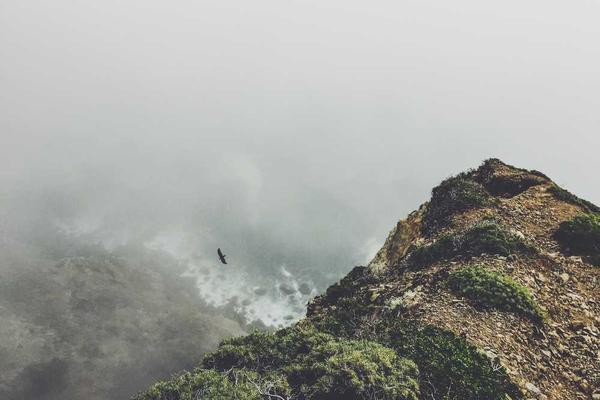 无码制服在光影下的极简律动