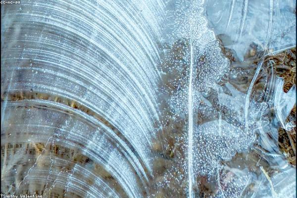 关于abstract的专业图片