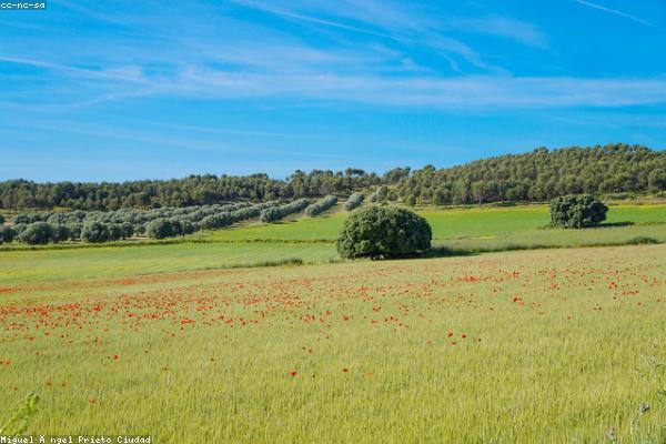 奇幻风格的战略分析图