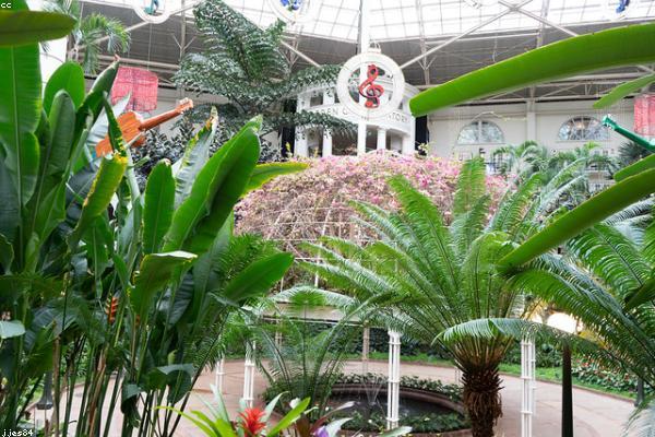 growth相关的高质量图像