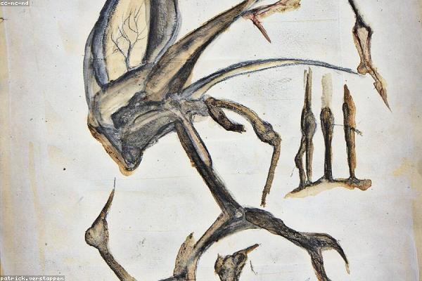 与modern相关的创意图片