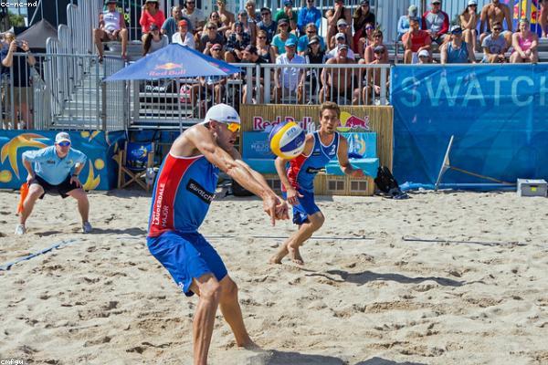 与professional相关的创意图片