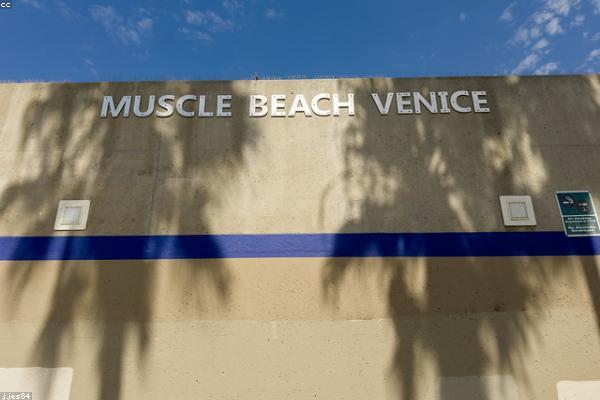 success相关的高质量图像