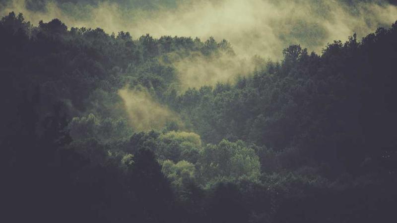 关于网络热词的理性思考主题的精美插图