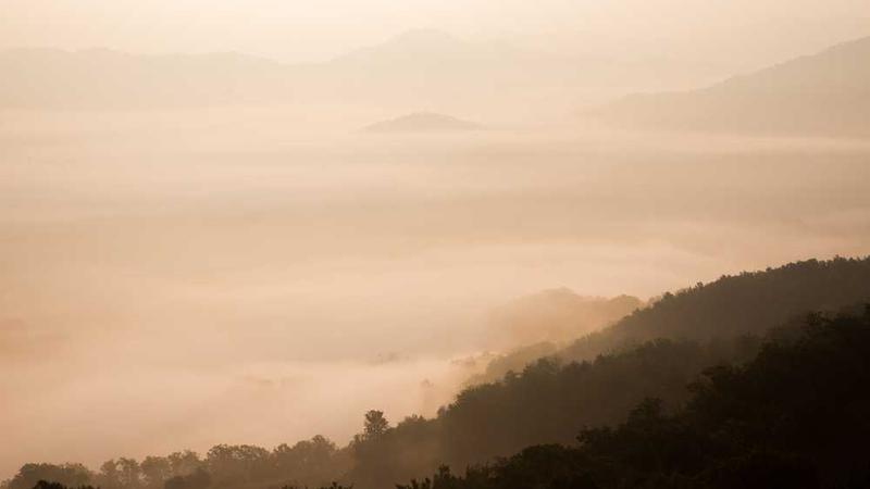 展示business概念的视觉内容