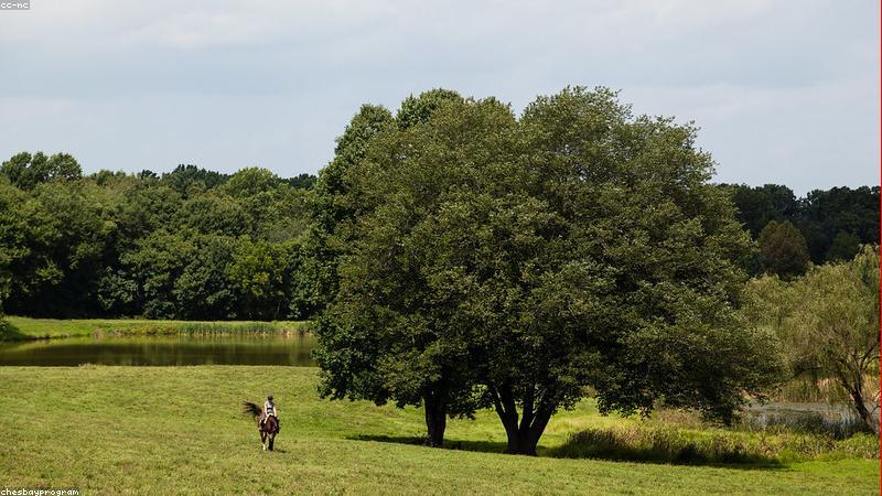 business相关的高质量图像