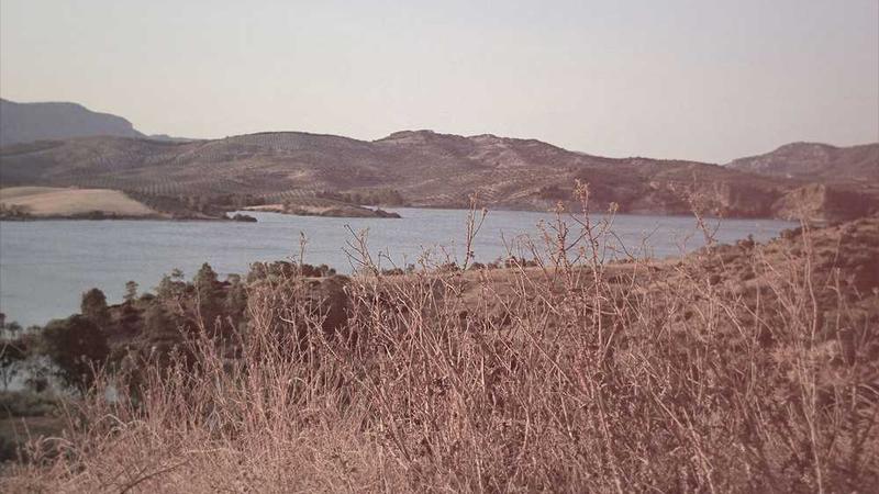 creative主题的精美插图