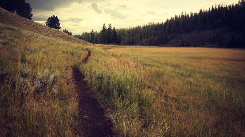 关于creative的专业图片