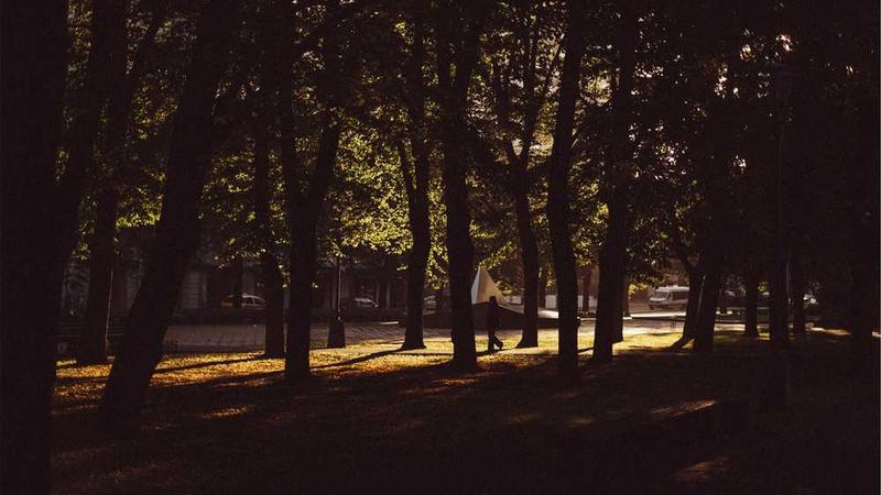 growth相关的高质量图像