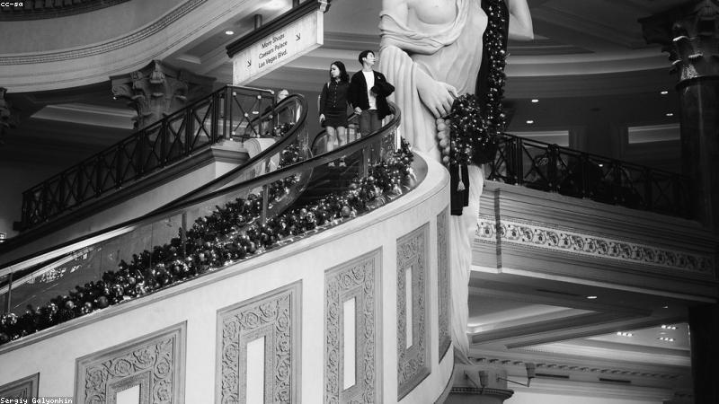 关于modern的专业图片