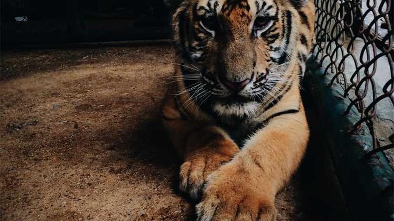 modern主题的精美插图