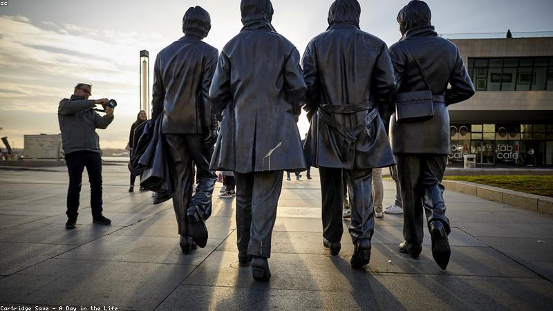 与professional相关的创意图片