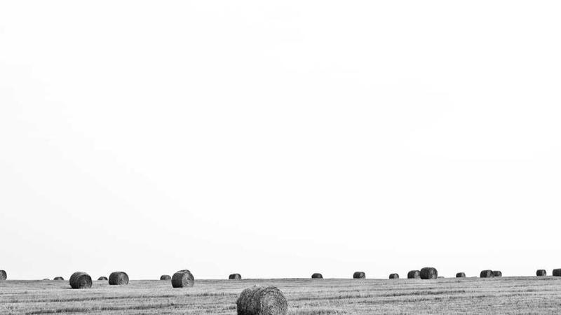 展示success概念的视觉内容