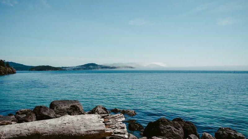 digital主题的精美插图