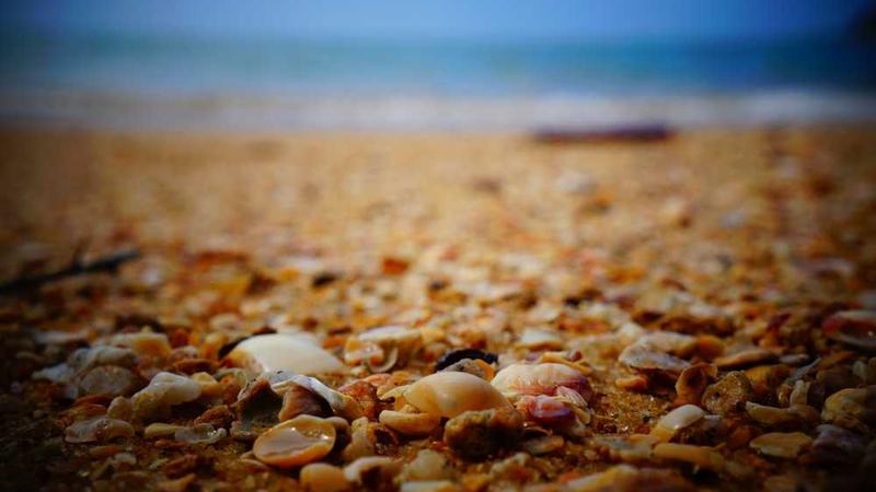 展示白丝表妺的下面好湿好紧H概念的视觉内容