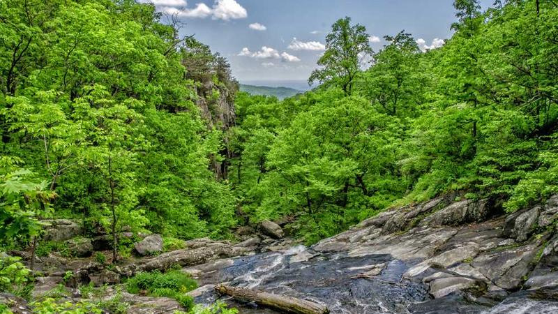 innovation主题的精美插图