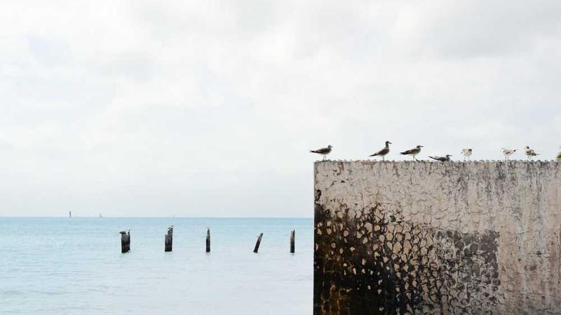 innovation相关的高质量图像